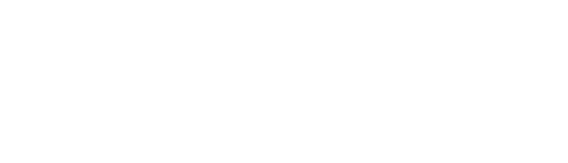 helvis-express-2025-logo-white